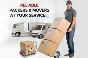 Packers and Movers in Mico Layout Bangalore